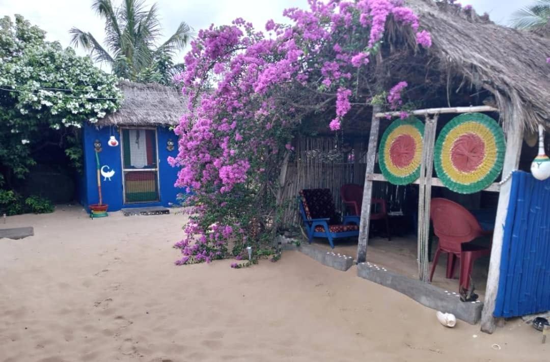 A&Y Wild Camp Ghana Keta Exteriér fotografie