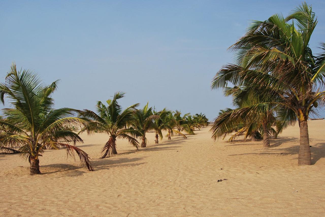 A&Y Wild Camp Ghana Keta Exteriér fotografie